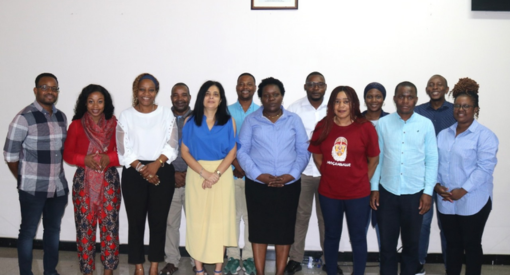 Praticantes Globais de DO